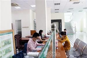 Tích cực giải ngân chương trình tín dụng phục hồi và phát triển kinh tế - xã hội