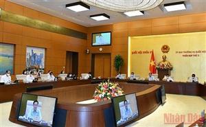 Cần sửa đổi toàn diện Luật Thống kê