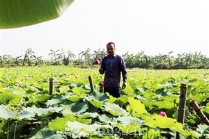 Nông dân Xuân Trúc với các phong trào thi đua