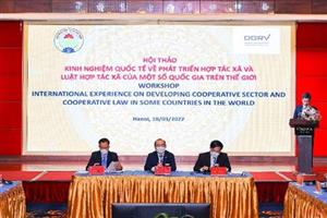 Hoàn thiện khung pháp lý cho khu vực kinh tế tập thể, hợp tác xã