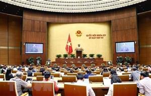 Quốc hội thảo luận tại hội trường về dự án Luật Phòng, chống rửa tiền