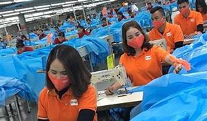 Thiết kế chính sách phát triển doanh nghiệp lớn