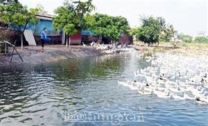 Nông dân Hưng Yên thi đua sản xuất, kinh doanh giỏi