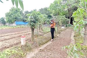 Bài 2: Quyết liệt ngăn chặn, tránh hệ lụy