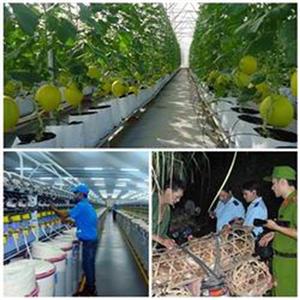 Nghị quyết phiên họp Chính phủ thường kỳ tháng 2/2017