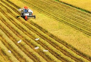 Chế độ sở hữu toàn dân về đất đai do Nhà nước đại diện chủ sở hữu ở Việt Nam (tiếp theo và hết)