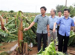 Chủ tịch UBND tỉnh Nguyễn Văn Phóng chỉ đạo khắc phục hậu quả mưa bão