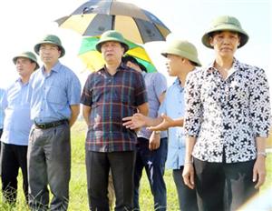 Lãnh đạo UBND tỉnh Hưng Yên kiểm tra sản xuất nông nghiệp