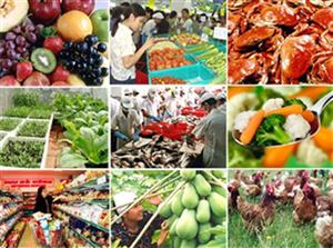 Thủ tướng Chính phủ gửi công văn hỏa tốc yêu cầu tăng cường trách nhiệm quản lý nhà nước về an toàn thực phẩm