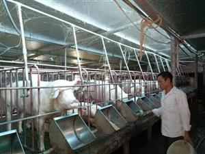 Cựu chiến binh huyện Văn Lâm: Thi đua làm kinh tế giỏi