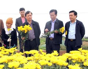 Phó Chủ tịch UBND Nguyễn Minh Quang kiểm tra sản xuất nông nghiệp