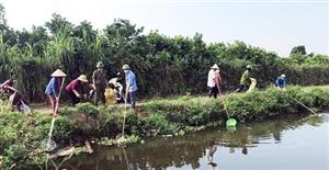 Bảo vệ nguồn nước mặt