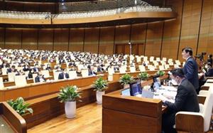 Chiêu lật mặt của những kẻ lái buôn thuật ngữ