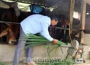 Chú trọng chăn nuôi an toàn dịch bệnh