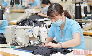 Thị trường lao động thích ứng tình hình mới