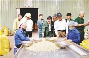 Cựu chiến binh làm kinh tế giỏi