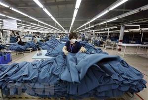Chính khách và chuyên gia châu Âu: Việt Nam là cầu nối ASEAN-EU