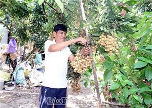 Sản xuất nhãn an toàn, chất lượng: Hướng đi đúng và hiệu quả