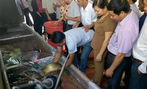 Hội thảo đầu bờ mô hình sinh sản nhân tạo cá chép lai V1