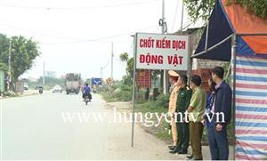 Hưng Yên lập hàng loạt chốt kiểm dịch ngăn chặn dịch tả lợn châu Phi lây lan