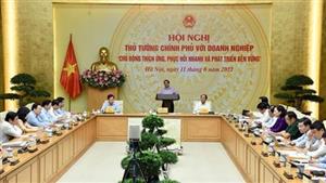 Chủ động thích ứng, phục hồi nhanh và phát triển bền vững