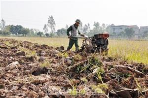 Huy động phương tiện, đẩy nhanh tiến độ cày ải