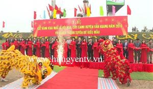 Khai mạc Lễ hội hoa, cây cảnh Văn Giang năm 2019