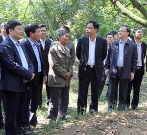 Bộ trưởng Bộ Nông nghiệp và PTNT Nguyễn Xuân Cường thăm và làm việc tại Hưng Yên