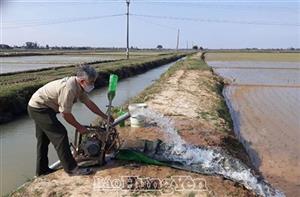Nông dân Hưng Yên chăm sóc, bảo vệ lúa và rau màu vụ xuân