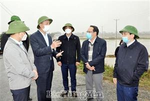 Đồng chí Phó Chủ tịch UBND tỉnh Nguyễn Hùng Nam kiểm tra tiến độ gieo cấy lúa xuân