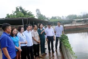 Đoàn công tác của Trung ương Hội Nông dân Việt Nam thăm và làm việc với Hội Nông dân tỉnh