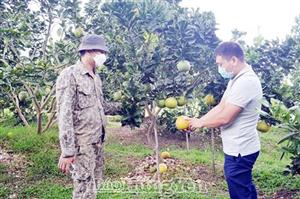 Tiếp sức cho nông dân phát triển kinh tế