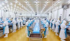 Tăng kim ngạch xuất khẩu sản phẩm chăn nuôi