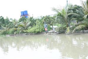 Thực hiện các giải pháp đồng bộ hình thành khu chăn nuôi tập trung, xa khu dân cư