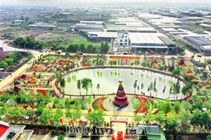 Về Hưng Yên du lịch làng nghề hoa, cây cảnh