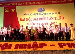 Khai mạc Đại hội Đảng bộ Khối doanh nghiệp tỉnh Hưng Yên lần thứ II nhiệm kỳ 2015-2020