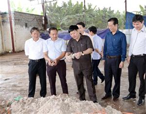 Chủ tịch UBND tỉnh Nguyễn Văn Phóng thăm mô hình sản xuất nấm công nghệ cao ở Ân Thi