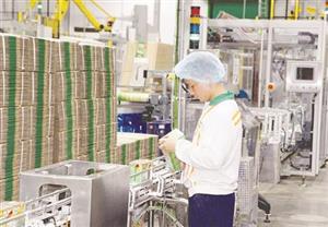 Sắc xuân trên các khu công nghiệp