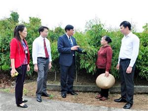 Phó Bí thư Thường trực Tỉnh ủy Đỗ Xuân Tuyên thăm các mô hình trang trại tiêu biểu huyện Ân Thi