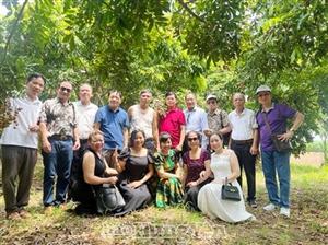 Hấp dẫn không gian du lịch sinh thái mùa nhãn chín