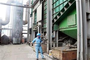 Chung tay phòng, chống rác thải nhựa