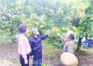 Một thời vững tay cày, chắc tay súng