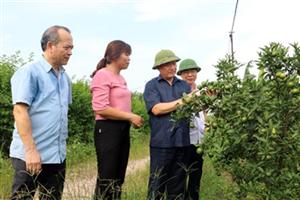 Chủ tịch UBND tỉnh Nguyễn Văn Phóng kiểm tra, chỉ đạo công tác phòng, chống bão số 10