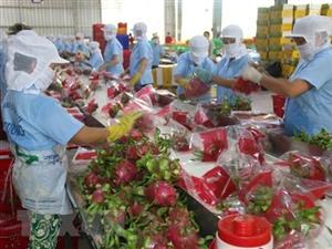 Tổng kim ngạch xuất nhập khẩu nông, lâm, thủy ước đạt 66 tỷ USD