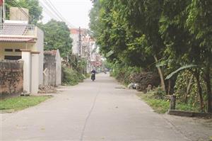 Sắc xuân trên công trình xây dựng