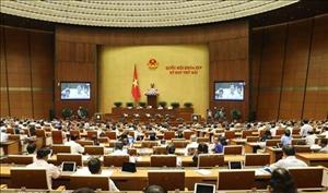 Điều chỉnh tuổi nghỉ hưu có lộ trình, tránh gây sốc thị trường lao động