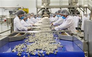 Để nông nghiệp hấp dẫn doanh nghiệp