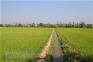 Dự thảo Luật Đất đai sửa đổi: Tích tụ, tập trung đất đai