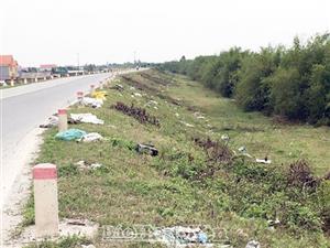 Hưng Yên: Nhếch nhác rác thải ven đê