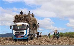 Giải pháp bền vững cho những mùa mía ngọt